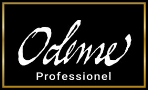 LGO_ODENSE_PROFESSIONEL_cmyk